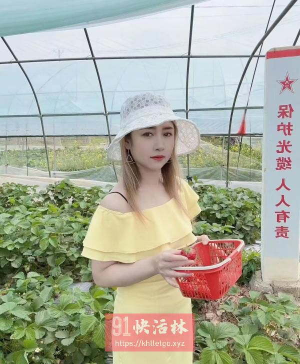 小菲妹子