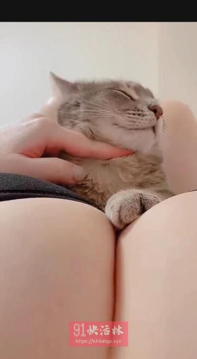 一手抓不住的大奶